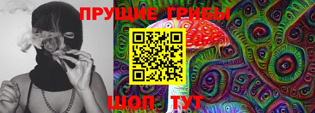 Псилоцибиновые грибы Cubensis  Вход с VPN  Конаково 